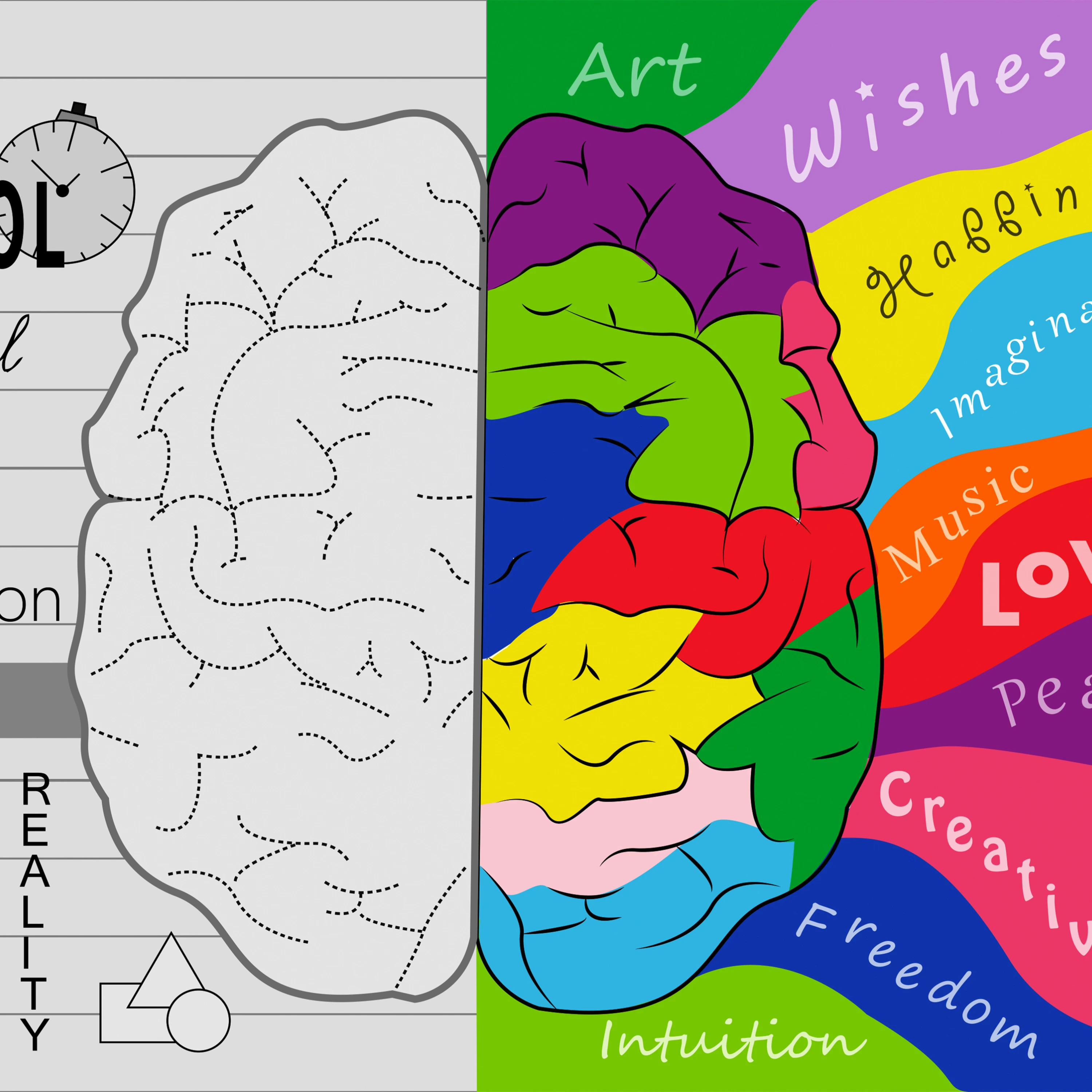 Brain illustration showing logical versus creative sides for personality based mental wellness